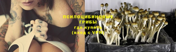 ПСИЛОЦИБИНОВЫЕ ГРИБЫ Алзамай