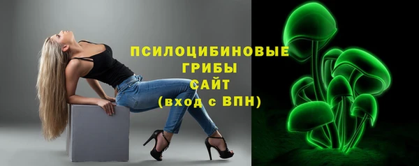 хмурый Алексеевка