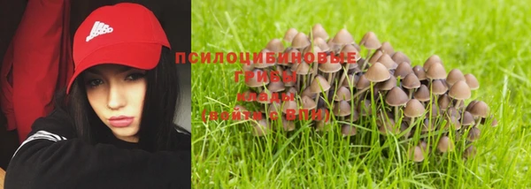 ПСИЛОЦИБИНОВЫЕ ГРИБЫ Алзамай