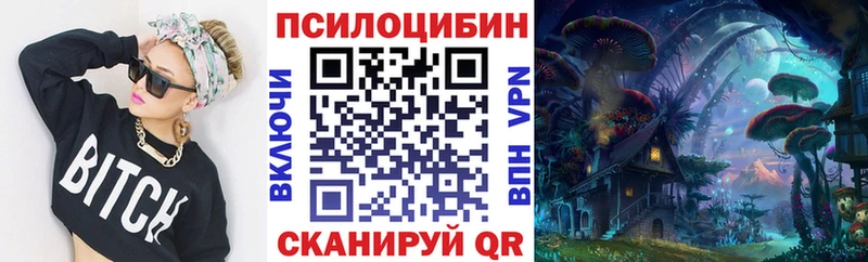 купить закладку  Мышкин  Галлюциногенные грибы прущие грибы 